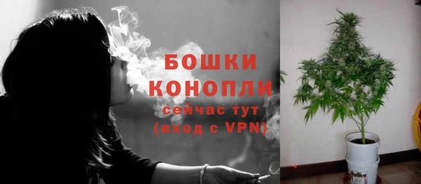 мет Инта