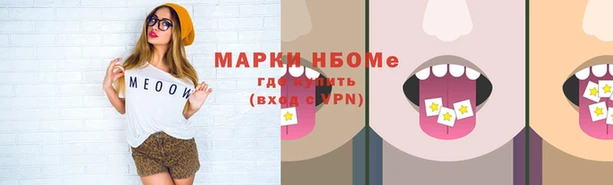 мет Инта