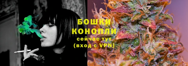 дмт Каменногорск