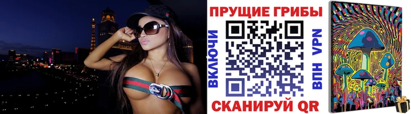 Купить закладки  Каргополь  Галлюциногенные грибы MAGIC MUSHROOMS 