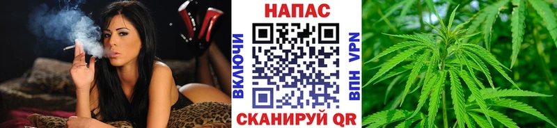 Купить где  Каргополь  Каннабис индика 